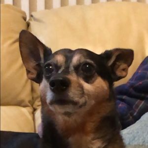 Meet your Posher, Chris